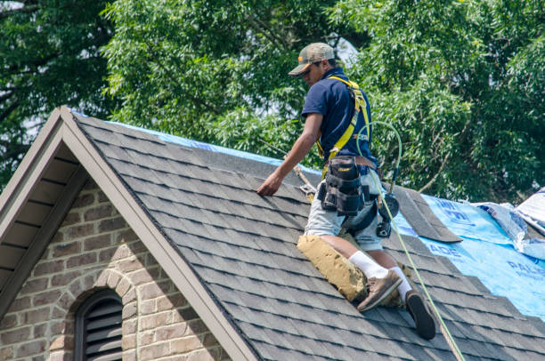 Quick and Trustworthy Emergency Roof Repair Services in Elkton, MD